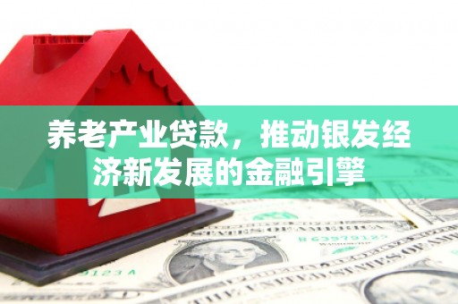 礼县养老产业贷款，推动银发经济新发展的金融引擎