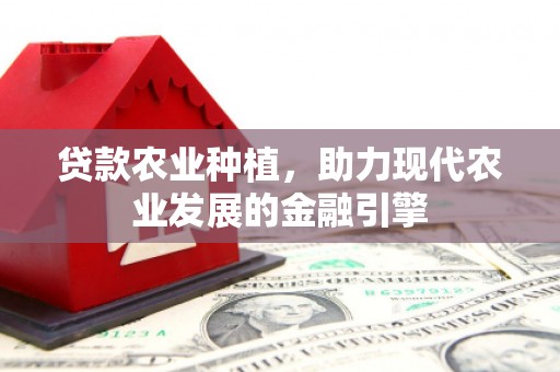 礼县贷款农业种植，助力现代农业发展的金融引擎