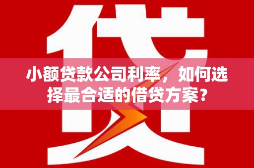 礼县小额贷款公司利率，如何选择最合适的借贷方案？