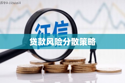 礼县贷款风险分散策略