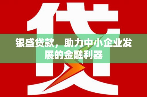 礼县银盛贷款，助力中小企业发展的金融利器