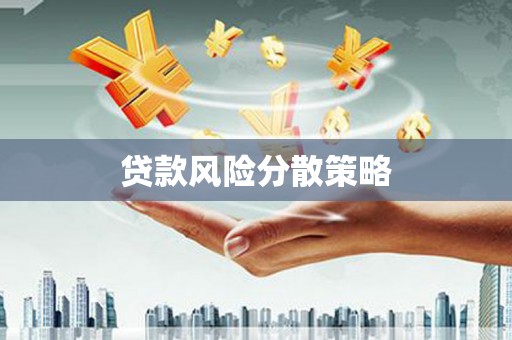 礼县贷款风险分散策略