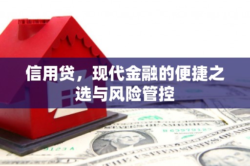 礼县信用贷，现代金融的便捷之选与风险管控