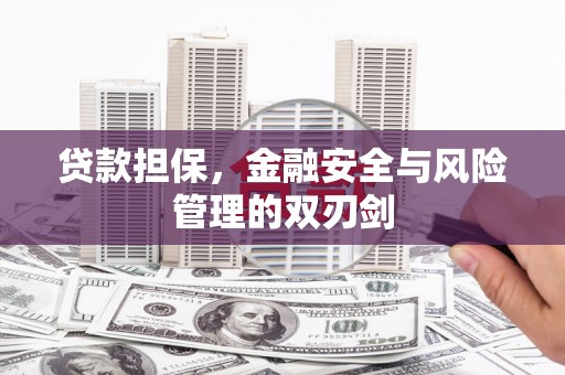 礼县贷款担保，金融安全与风险管理的双刃剑