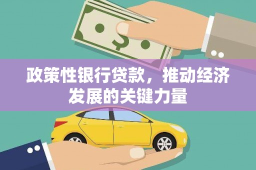 礼县政策性银行贷款，推动经济发展的关键力量