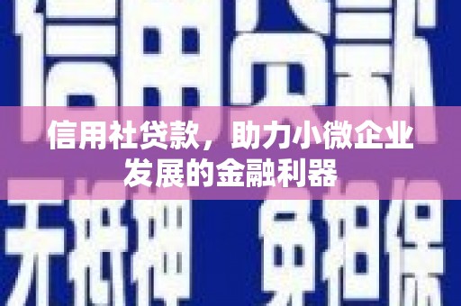 礼县信用社贷款，助力小微企业发展的金融利器