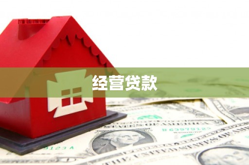 礼县经营贷款