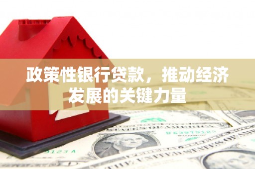 礼县政策性银行贷款，推动经济发展的关键力量
