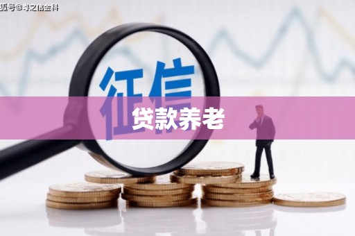 礼县贷款养老