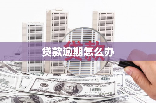 礼县贷款逾期怎么办