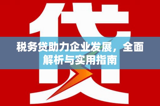 礼县税务贷助力企业发展，全面解析与实用指南