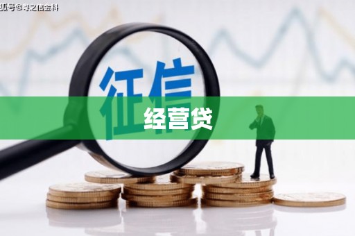 礼县经营贷