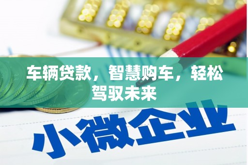礼县车辆贷款，智慧购车，轻松驾驭未来
