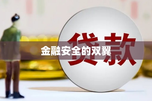 礼县金融安全的双翼