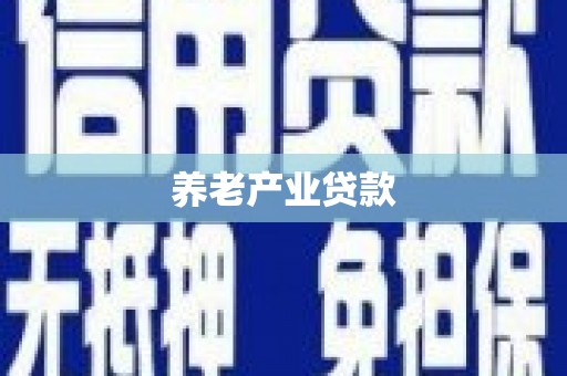 礼县养老产业贷款