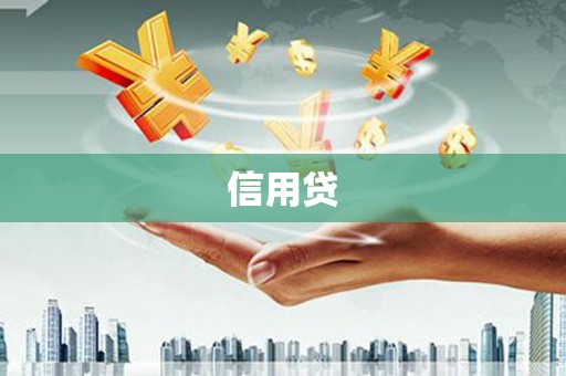 礼县信用贷
