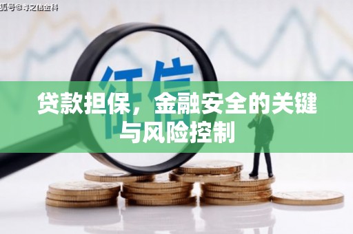 礼县贷款担保，金融安全的关键与风险控制