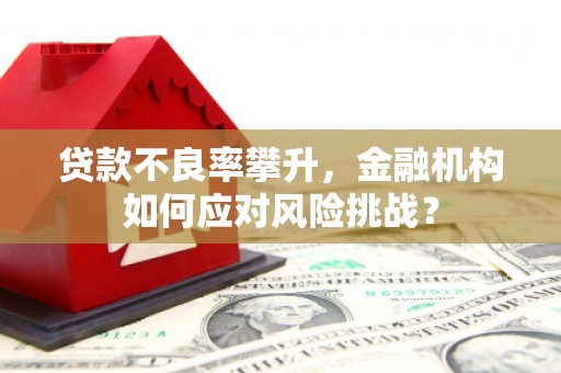 礼县贷款不良率攀升，金融机构如何应对风险挑战？