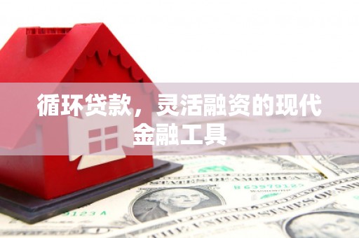 礼县循环贷款，灵活融资的现代金融工具