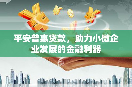 礼县平安普惠贷款，助力小微企业发展的金融利器