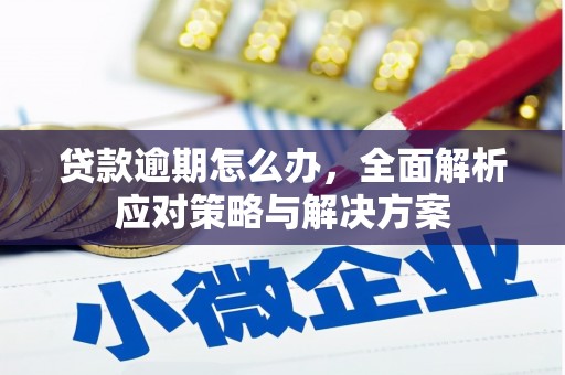 礼县贷款逾期怎么办，全面解析应对策略与解决方案