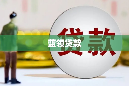 礼县蓝领贷款