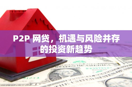 礼县P2P 网贷，机遇与风险并存的投资新趋势