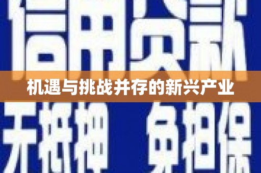 礼县机遇与挑战并存的新兴产业