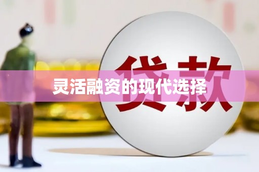 礼县灵活融资的现代选择