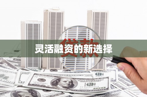 礼县灵活融资的新选择