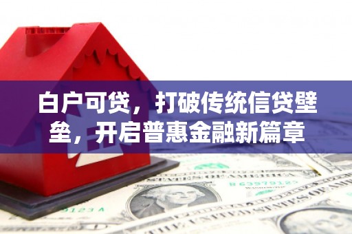 礼县白户可贷，打破传统信贷壁垒，开启普惠金融新篇章