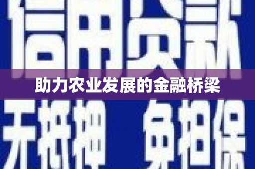 礼县助力农业发展的金融桥梁
