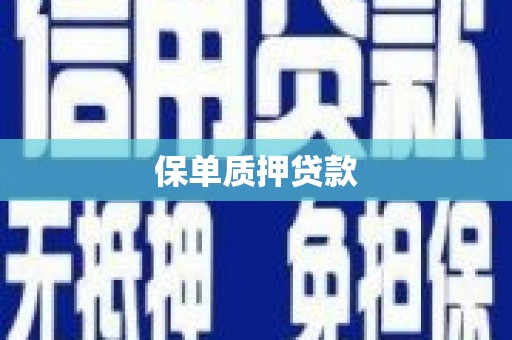 礼县保单质押贷款