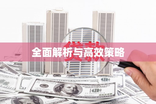 礼县全面解析与高效策略