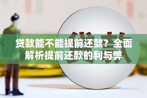 礼县贷款能不能提前还款？全面解析提前还款的利与弊