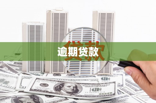 礼县逾期贷款