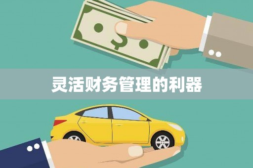 礼县灵活财务管理的利器