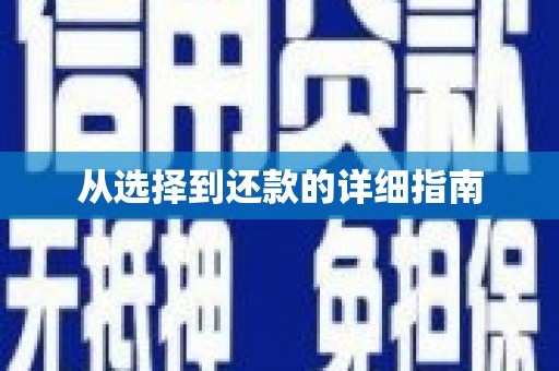 礼县从选择到还款的详细指南