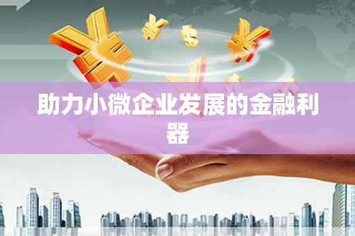礼县助力小微企业发展的金融利器