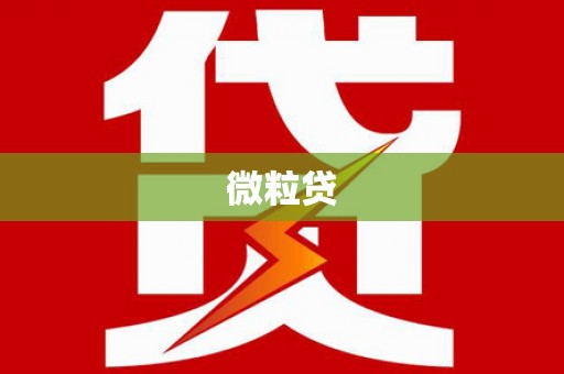 礼县微粒贷