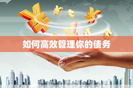 礼县如何高效管理你的债务