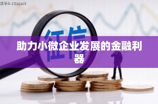礼县助力小微企业发展的金融利器