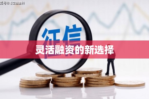 礼县灵活融资的新选择