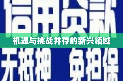 礼县机遇与挑战并存的新兴领域