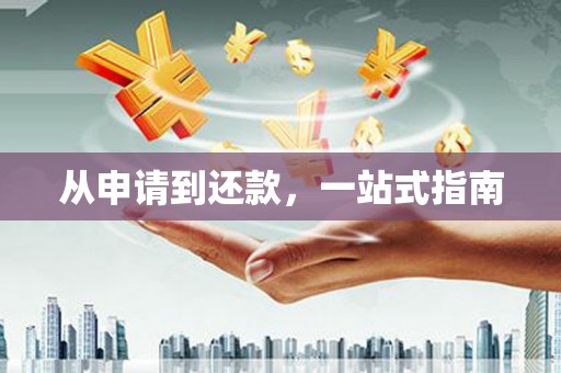 礼县从申请到还款，一站式指南