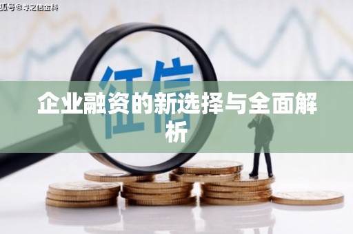 礼县企业融资的新选择与全面解析