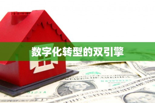 礼县数字化转型的双引擎