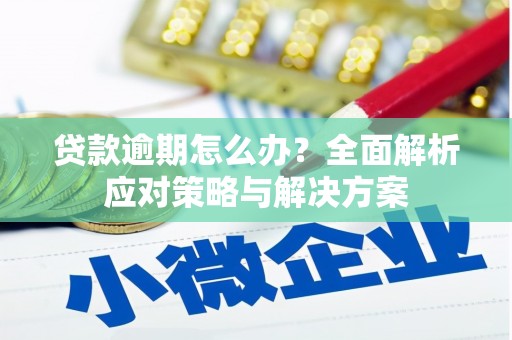 礼县贷款逾期怎么办？全面解析应对策略与解决方案