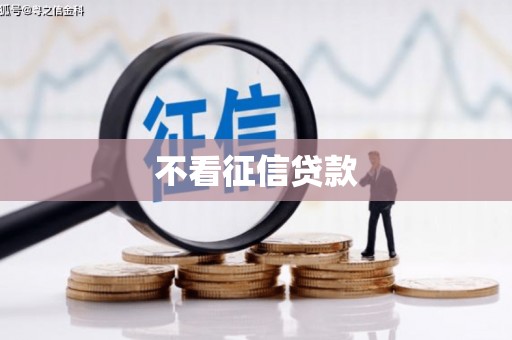 礼县不看征信贷款