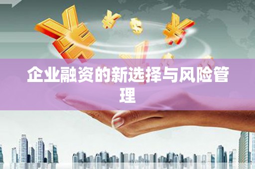 礼县企业融资的新选择与风险管理